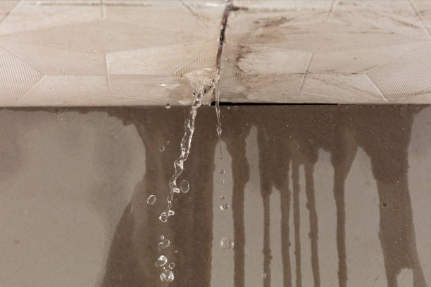 Professional Flood Damage Cleanup technician working in Morrisonville, IL